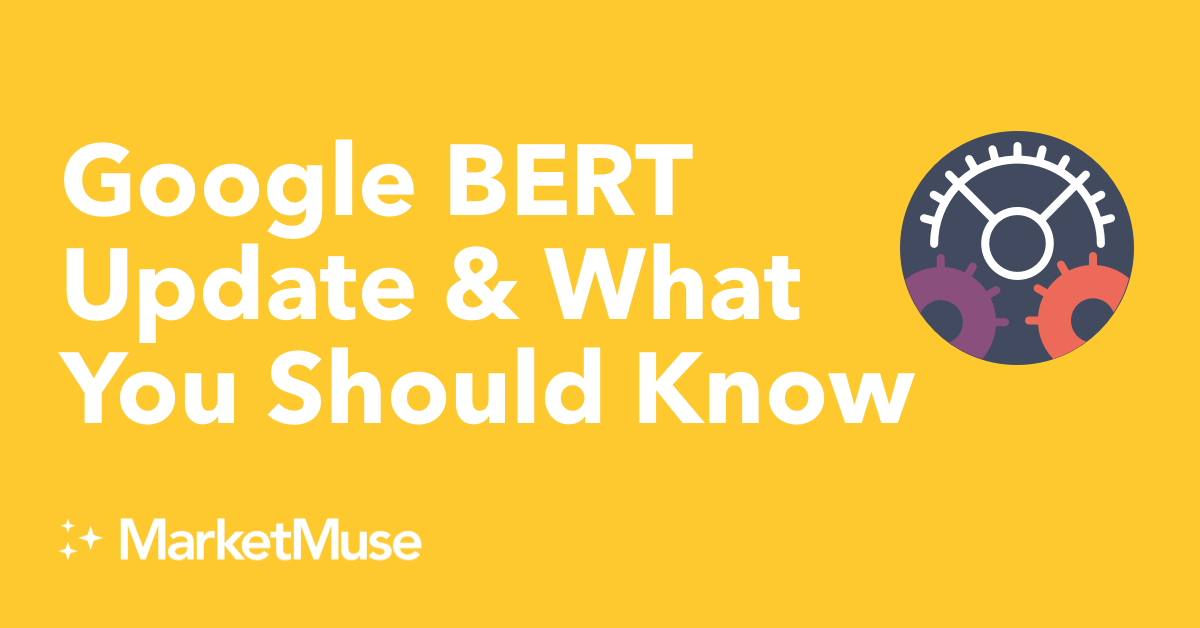 Google BERT Update and What You Should Know