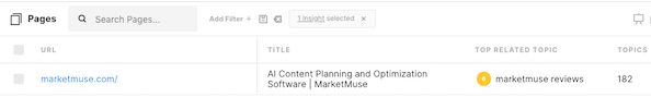 Screenshot of MarketMuse Page Inventory with a filter applied.