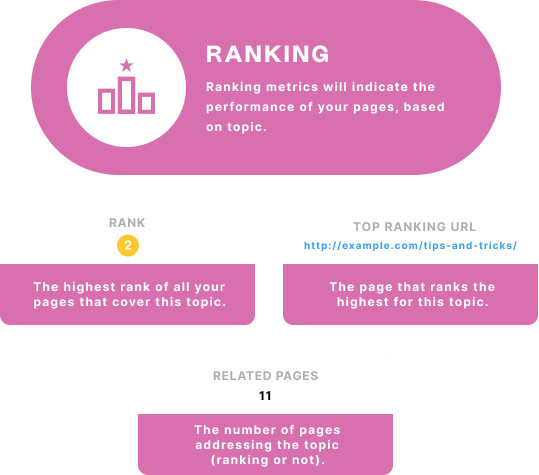 MarketMuse Ranking metrics are top rank, top ranking URL, and related pages.
