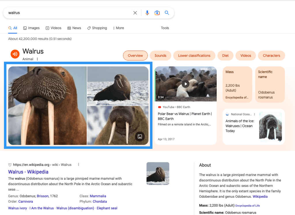 Google search results page showing the image result visual element.