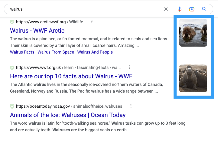 Google search result page showing the text image visual element